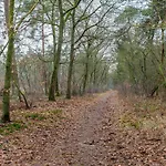 Σαλέ Cosy 4 Pers Midden In Bos Op De Veluwe Doornspijk