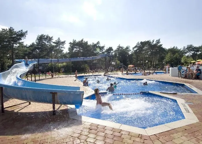 Cosy 4 Pers Midden In Bos Op De Veluwe Chalet *