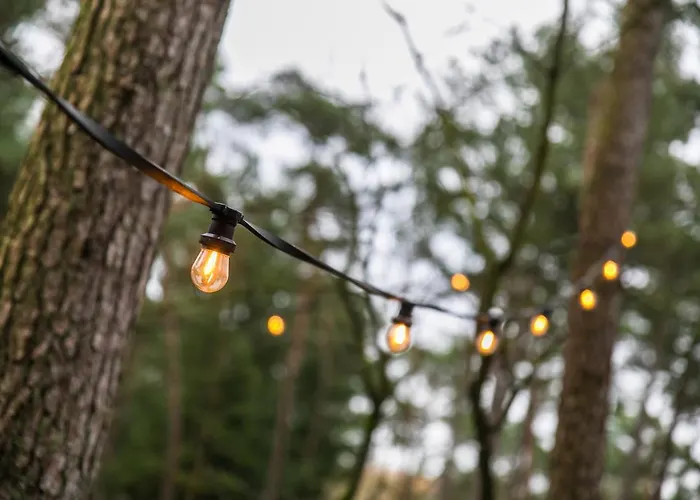 Chalet Cosy 4 Pers Midden In Bos Op De Veluwe