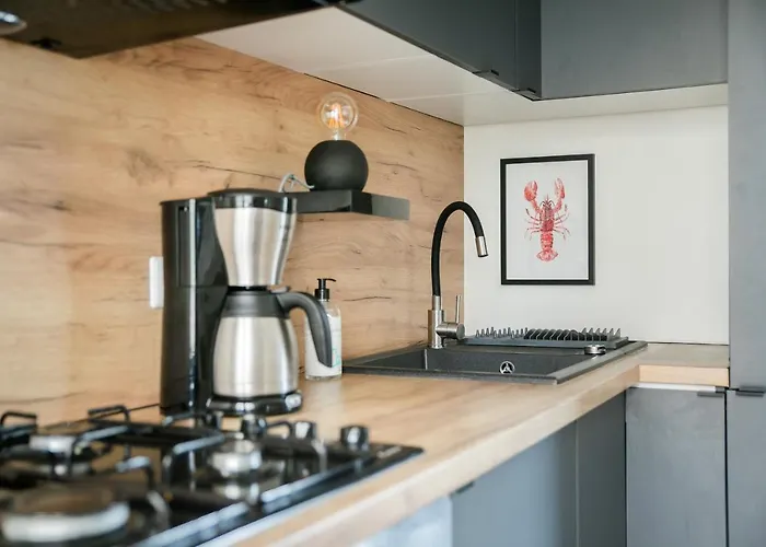 Chalet Cosy 4 Pers Midden In Bos Op De Veluwe Doornspijk