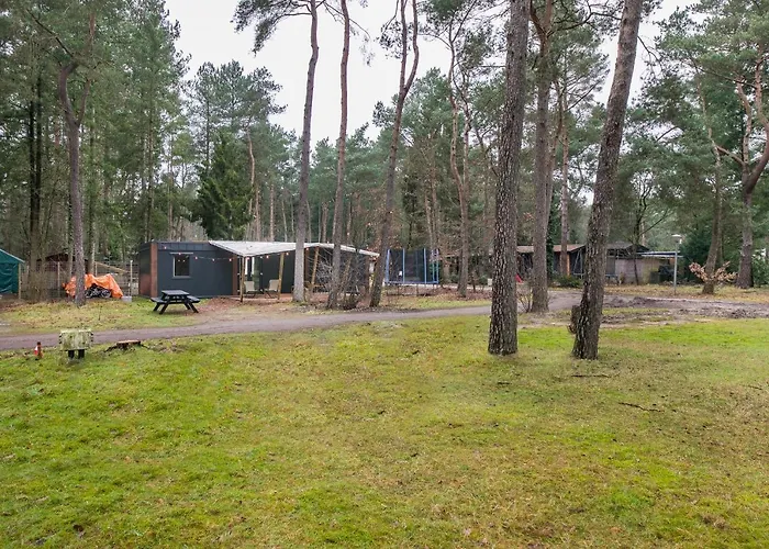 Chalet Cosy 4 Pers Midden In Bos Op De Veluwe *