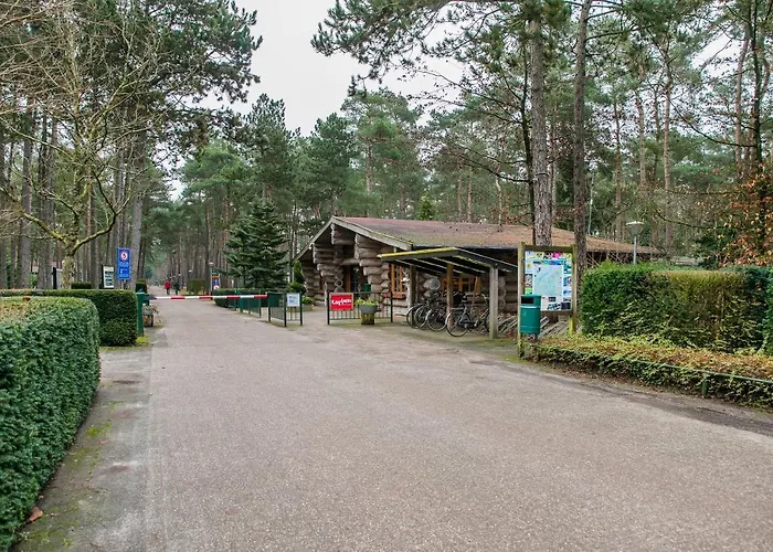 Cosy 4 Pers Midden In Bos Op De Veluwe Chalet *