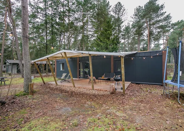 Cosy 4 Pers Midden In Bos Op De Veluwe Chalet