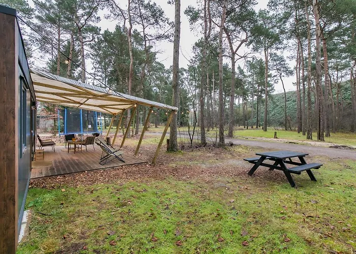 Chalet Cosy 4 Pers Midden In Bos Op De Veluwe