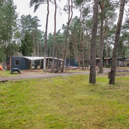 샬레 Cosy 4 Pers Midden In Bos Op De Veluwe *