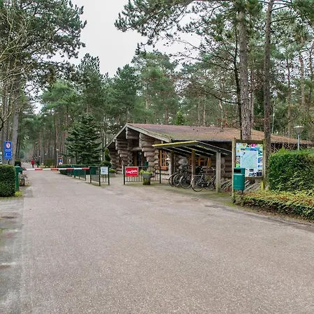 Cosy 4 Pers Midden In Bos Op De Veluwe Chalé *