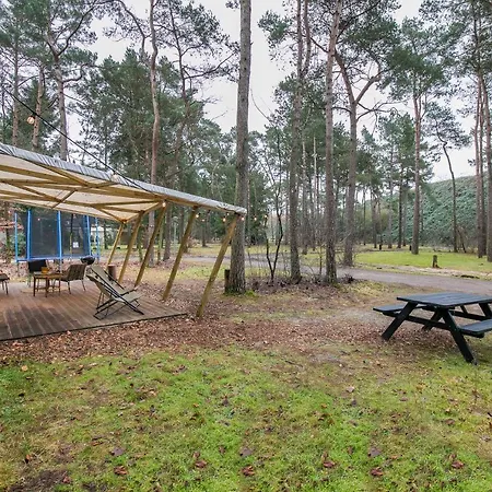 샬레 Cosy 4 Pers Midden In Bos Op De Veluwe